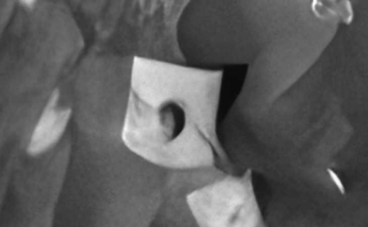 Click for larger image at actual size 1:1 scale