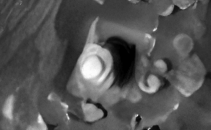 Click for larger image at actual size 1:1 scale