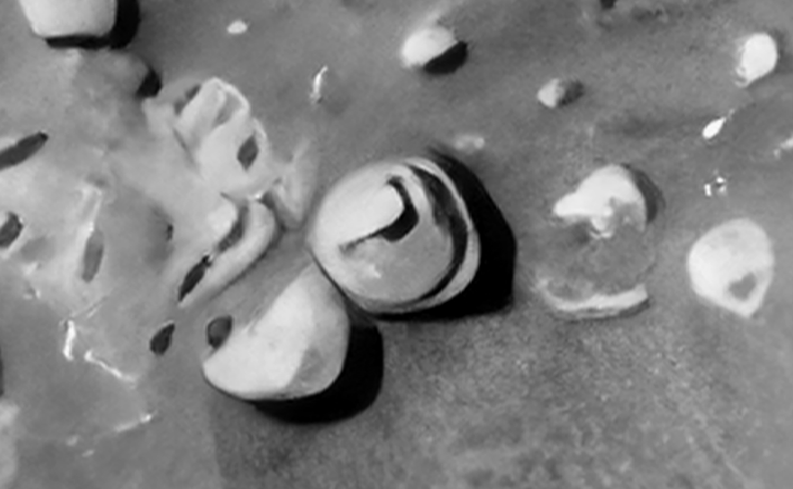 Click for larger image at actual size 1:1 scale