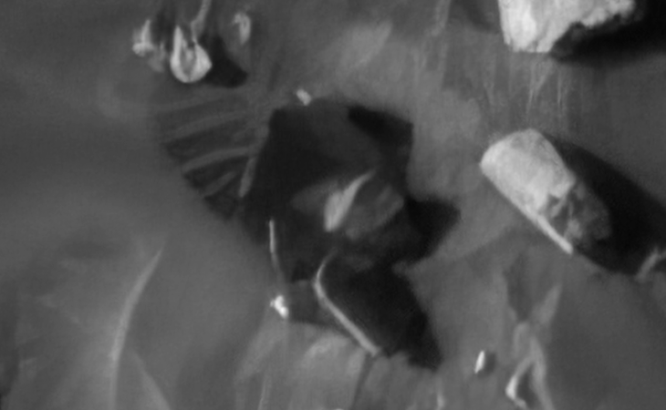 Click for larger image at actual size 1:1 scale