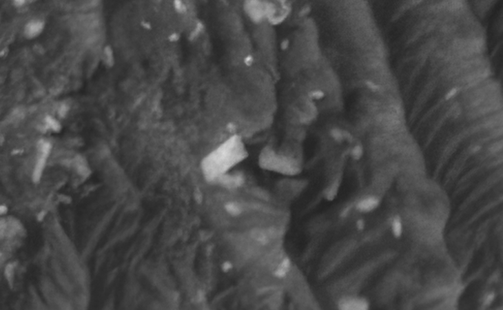 Click for larger image at actual size 1:1 scale