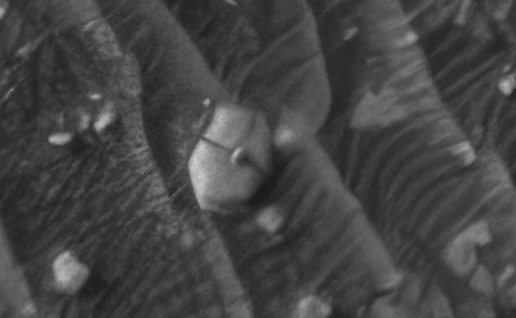 Click for larger image at actual size 1:1 scale