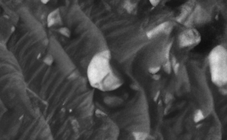 Click for larger image at actual size 1:1 scale