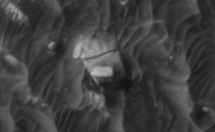 Click for larger image at actual size 1:1 scale