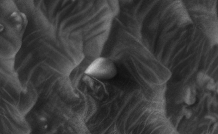 Click for larger image at actual size 1:1 scale