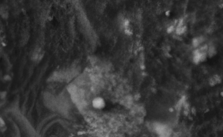 Click for larger image at actual size 1:1 scale