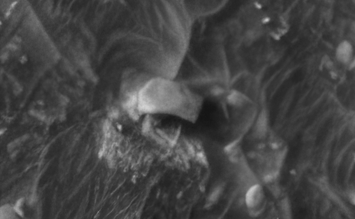 Click for larger image at actual size 1:1 scale