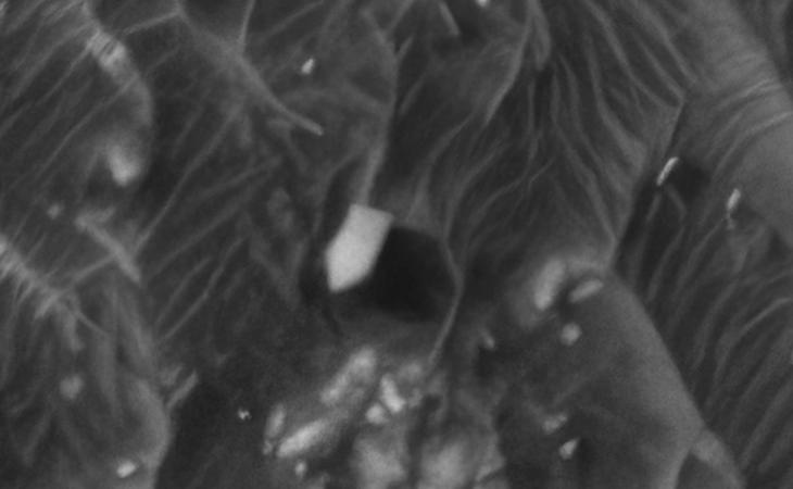 Click for larger image at actual size 1:1 scale