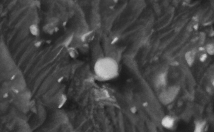 Click for larger image at actual size 1:1 scale