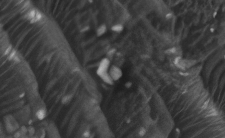 Click for larger image at actual size 1:1 scale