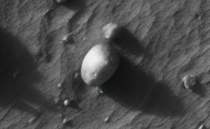 Click for larger image at actual size 1:1 scale