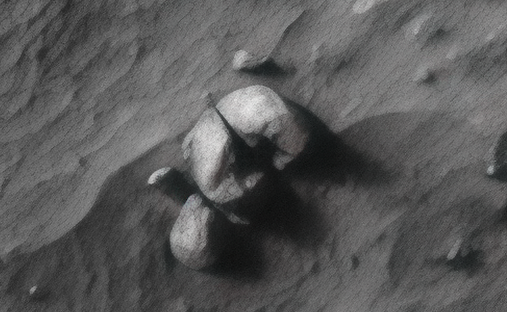 Click for larger image at actual size 1:1 scale