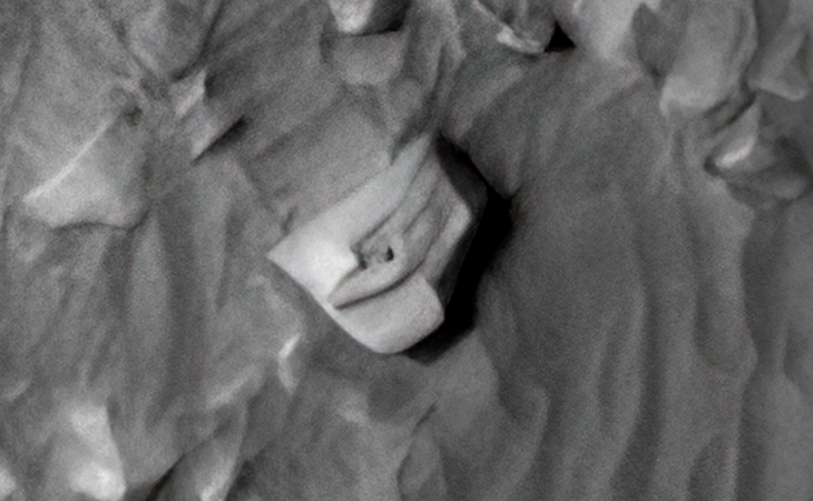 Click for larger image at actual size 1:1 scale