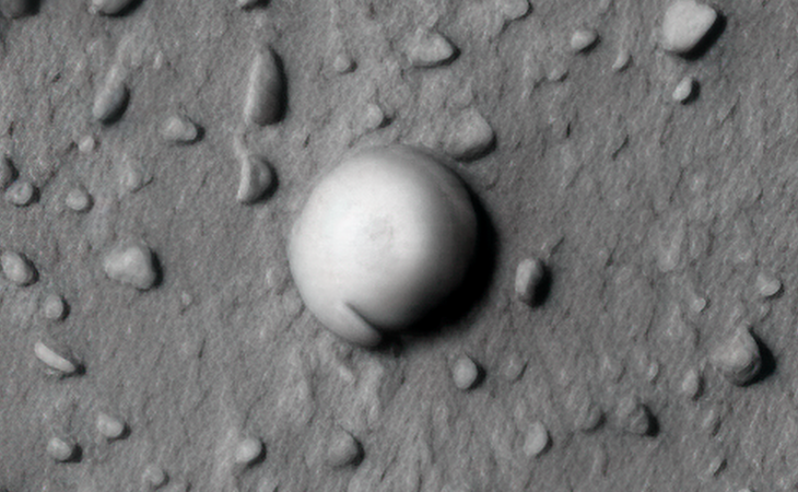 Click for larger image at actual size 1:1 scale
