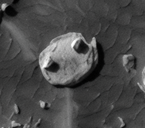 Click for larger image at actual size 1:1 scale