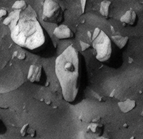 Click for larger image at actual size 1:1 scale