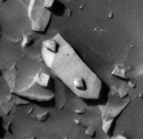 Click for larger image at actual size 1:1 scale