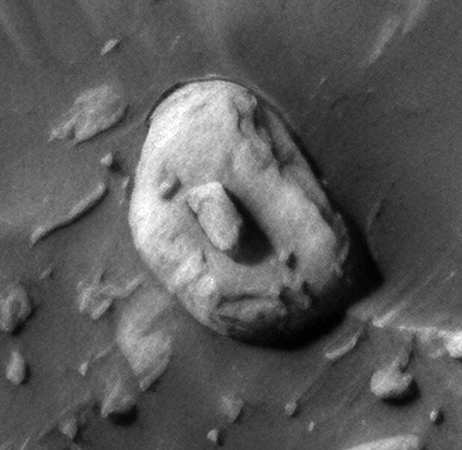 Click for larger image at actual size 1:1 scale