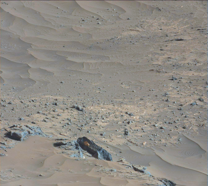 Photograph with grid removed and colour corrected (click for original size image)