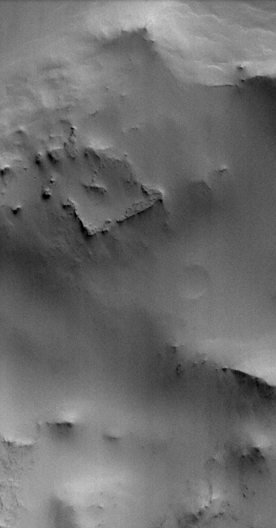 Crop from the photograph showing the possible structure (image at actual size 1:1 scale)