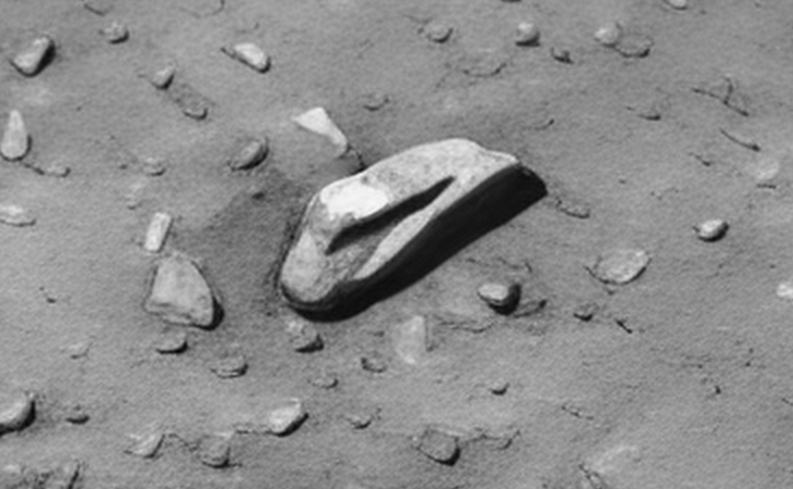 Close-up view (click for larger image at actual size 1:1 scale)