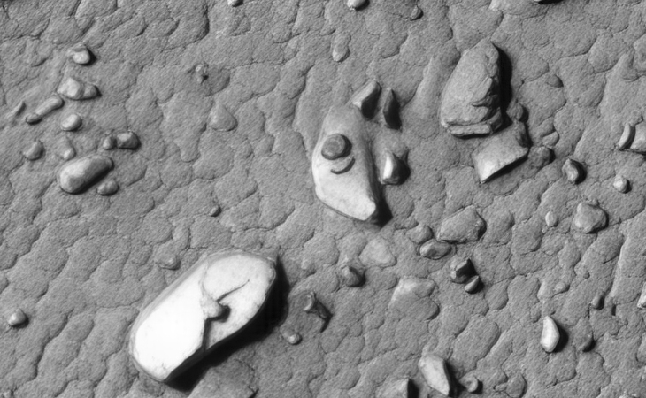 Click for larger image at actual size 1:1 scale