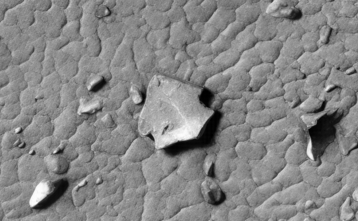 Click for larger image at actual size 1:1 scale