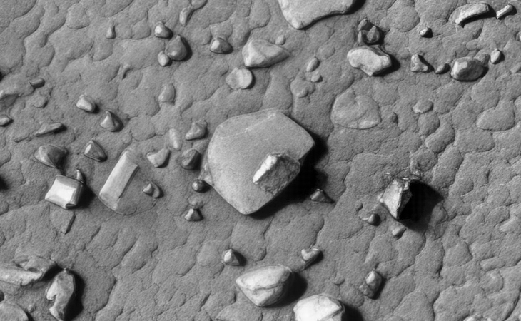 Click for larger image at actual size 1:1 scale