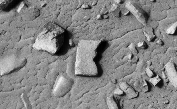 Click for larger image at actual size 1:1 scale