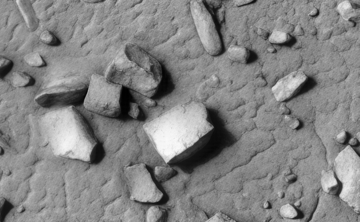 Click for larger image at actual size 1:1 scale