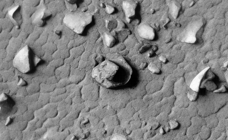 Click for larger image at actual size 1:1 scale