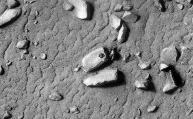 Click for larger image at actual size 1:1 scale