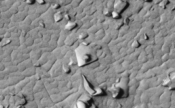 Click for larger image at actual size 1:1 scale