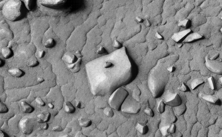 Click for larger image at actual size 1:1 scale