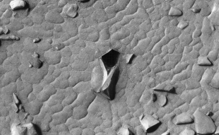 Click for larger image at actual size 1:1 scale