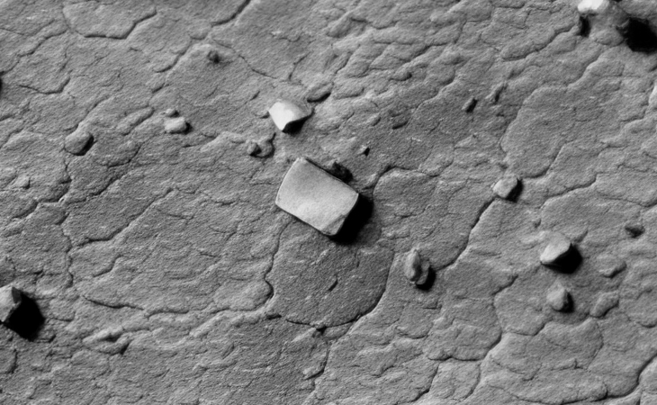 Close-up view (click for larger image at actual size 1:1 scale)