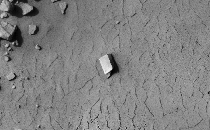 Close-up view (click for larger image at actual size 1:1 scale)