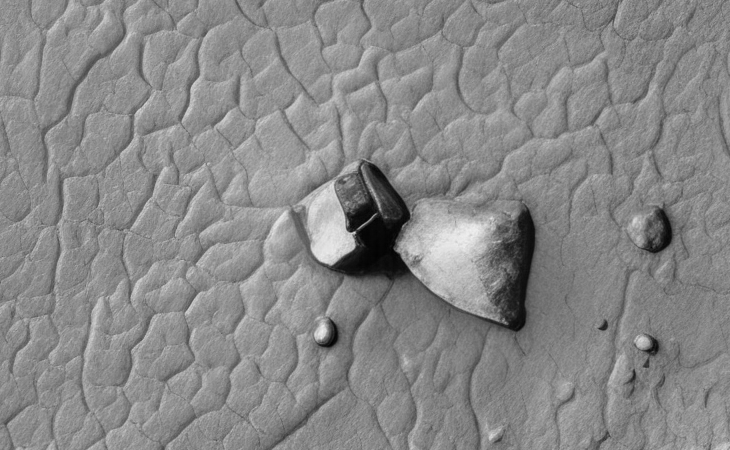 Close-up view (click for larger image at actual size 1:1 scale)