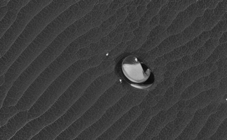 Zoomed-in view (click for larger image at actual size 1:1 scale)