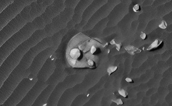 Zoomed-in view (click for larger image at actual size 1:1 scale)