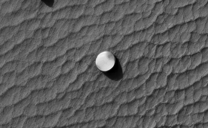 Click for larger image at actual size 1:1 scale
