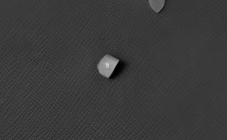 Click for larger image at actual size 1:1 scale