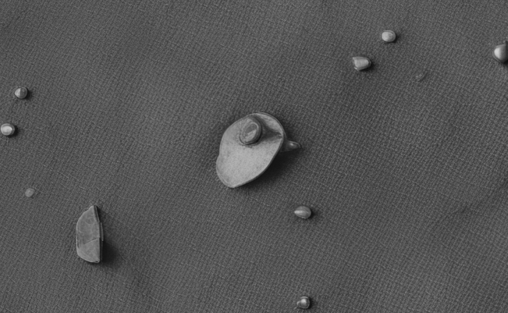 Click for larger image at actual size 1:1 scale