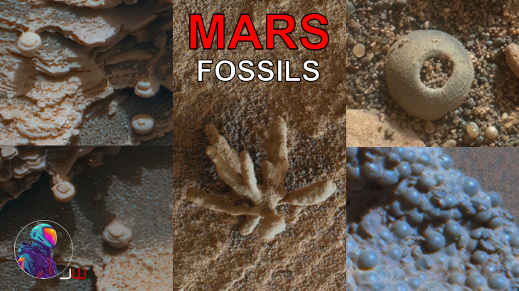 Presentation REDUX | Mars Disclosure Livestream