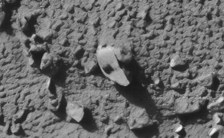 Click for larger image at actual size 1:1 scale