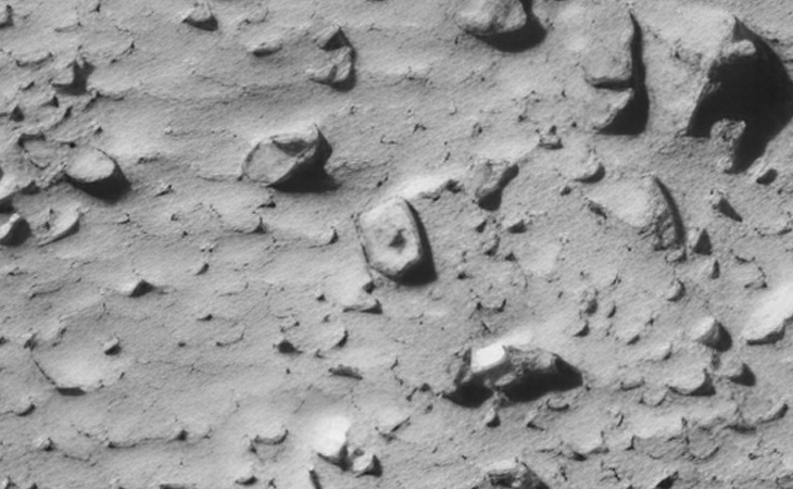 Click for larger image at actual size 1:1 scale