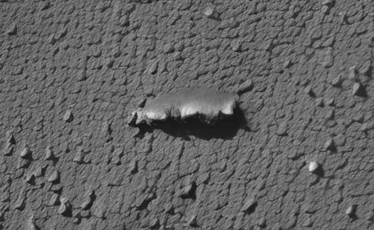 Click for larger image at actual size 1:1 scale