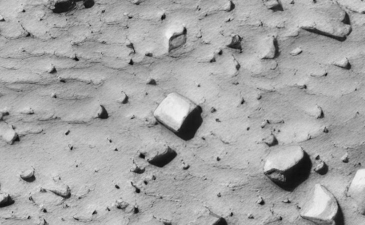 Click for larger image at actual size 1:1 scale