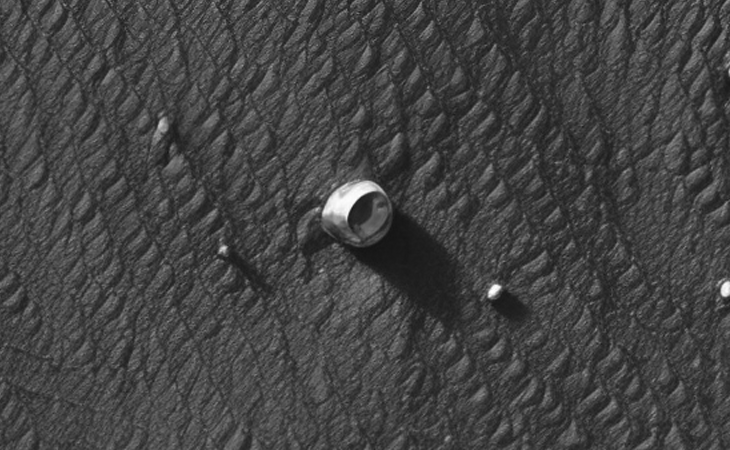 Click for larger image at actual size 1:1 scale