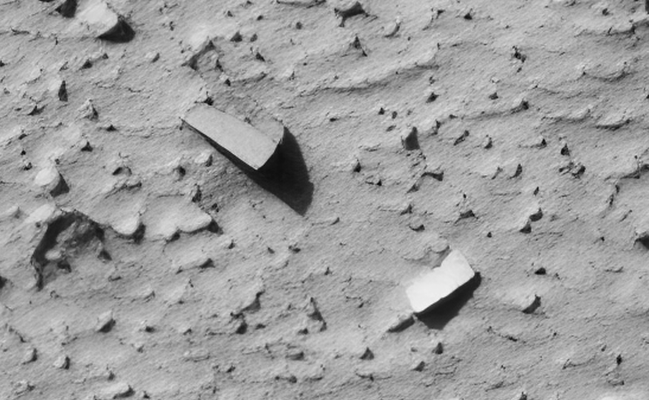 Click for larger image at actual size 1:1 scale